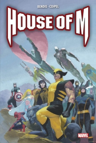 Fumetto - House of m