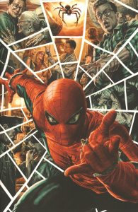 Fumetto - Spider-man n.883: Variant amazing visions di lee bermejo n.1