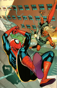 Fumetto - Spider-man n.893: Variant cover di pere perez